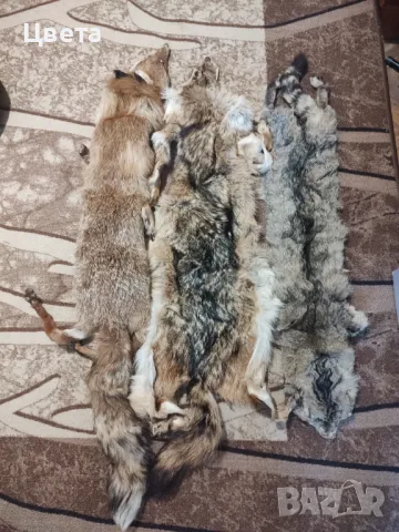 Кожи обработени