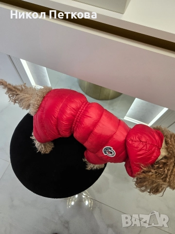 Зимен гащеризон Moncler , снимка 2 - За кучета - 52755864