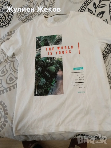 11 броя тениски,запазени размер L, снимка 2 - Тениски - 53885766