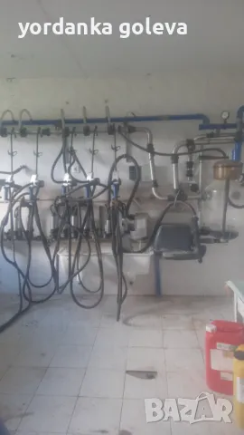 Ферма, снимка 4 - Земеделска земя - 50434775