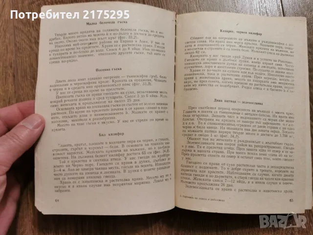 Наръчник на ловеца и риболовеца-Земиздат 1974г., снимка 16 - Специализирана литература - 49699300