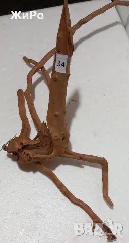 Корен от Азалия /декорация/ 34