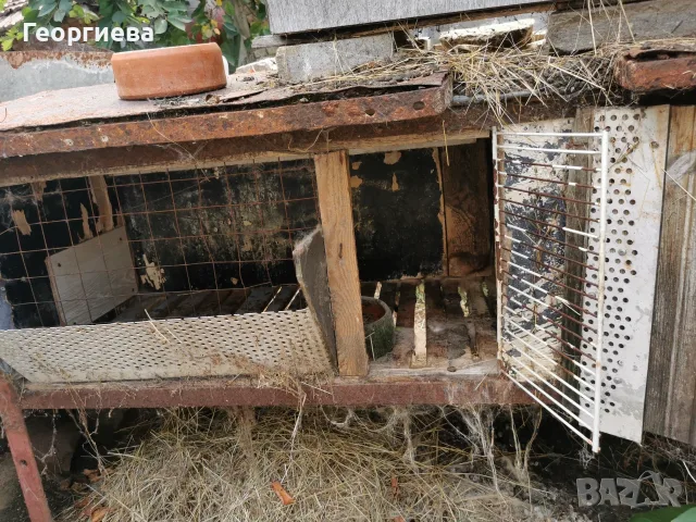 Клетки за зайци, снимка 8 - За гризачи - 56242313