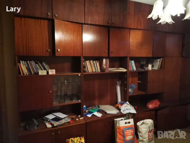 Холна секция