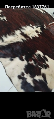 Телешка кожа Огромна 100% качество , снимка 2 - Декорация за дома - 53908129