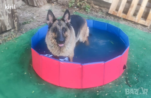 Хотел за кучета - Игри на воля , снимка 15 - Други услуги - 52645884