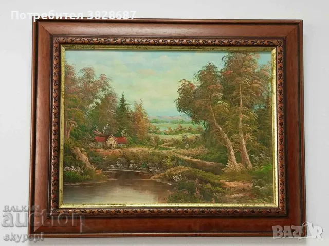 ПЕЙЗАЖ, снимка 1