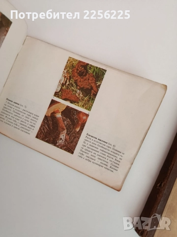 ЛОТ Гъбарство, снимка 3 - Специализирана литература - 51794307