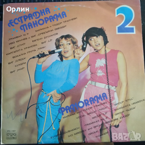 Грамофонна плоча - Естрадна панорама 2 - ВТА 11037, снимка 1