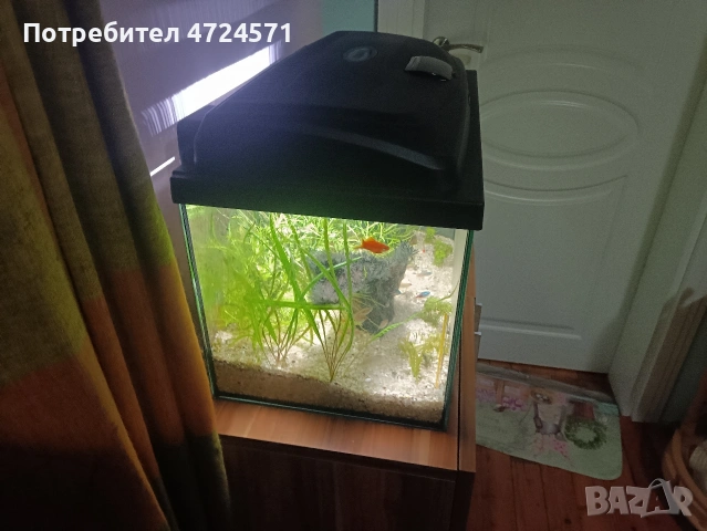 аквариум със рибки , снимка 2 - Аквариуми - 53355551