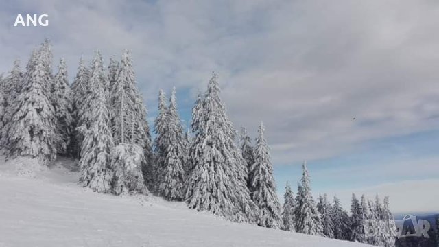 Продава хотел в  к.к. Пампорово, снимка 6 - Хотели - 34507156