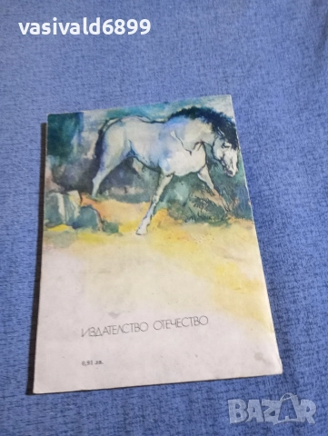 Ради Царев - Бързоноги другари , снимка 3 - Българска литература - 52952802