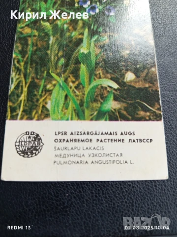 Старо календарче 82г. ЦВЕТЯ рядко за КОЛЕКЦИЯ ДЕКОРАЦИЯ 35327, снимка 3 - Колекции - 51224198