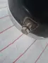 Продавам фар за мотор Восхот 3м., снимка 4
