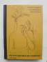 Книга Ексфолиация на кожата - Румяна Лазарова и др. 2023 г., снимка 1