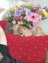 Шотландска златна чинчила, снимка 4