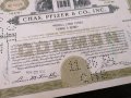Сертификат за притежание на 100 акции (САЩ) | Chas. Pfizer & Co. Inc. | 1954г., снимка 3