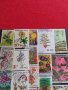 Пощенски марки смесени ЦВЕТЯ от цял свят перфектно състояние за КОЛЕКЦИЯ 22632, снимка 9