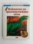 Животните от праисторическата епоха, снимка 1