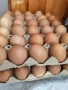 Домашни яйца, снимка 1