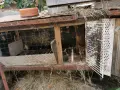 Клетки за зайци, снимка 8