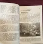America's Hidden Heroes. The History and Evolution of U.S. Navy Frogmen and SEALs, снимка 9