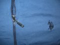 Спортно горнище U.S. POLO ASSN.    дамско,Л-ХЛ, снимка 4