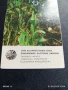 Старо календарче 82г. ЦВЕТЯ рядко за КОЛЕКЦИЯ ДЕКОРАЦИЯ 35327, снимка 3