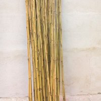 Колчета от бамбук за укрепване на домати