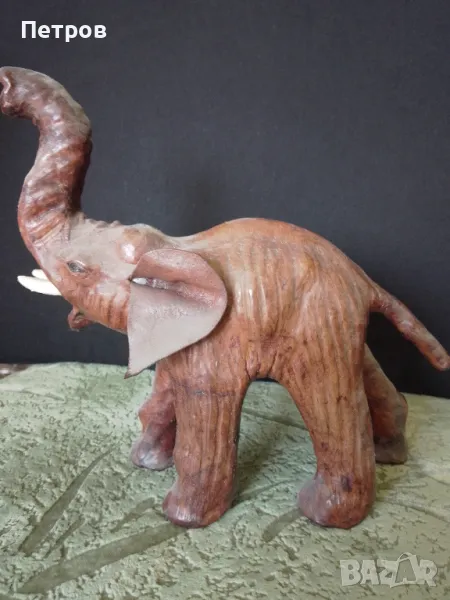 слонче естествена кожа, снимка 1