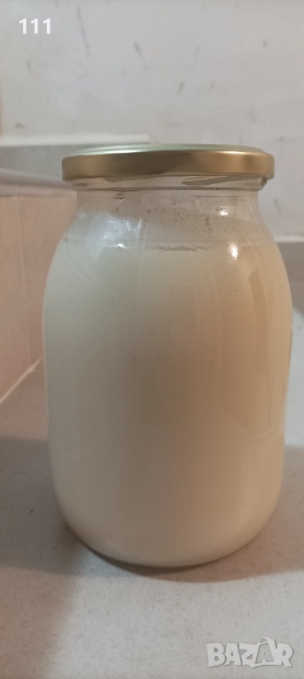 Свинска мас, снимка 1