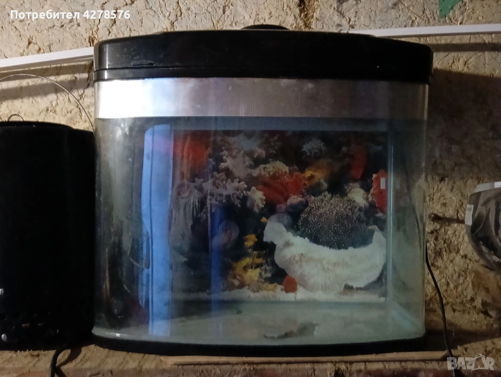 Аквариум, снимка 1