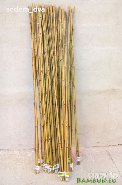 Колчета от бамбук за укрепване на домати, снимка 1