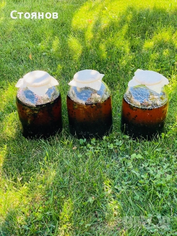 Сироп черен бъз с мед, бъзак с мед, снимка 9 - Други - 51738820