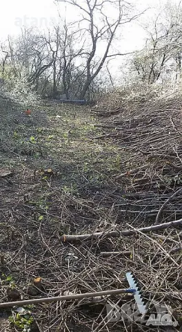 Почистване на дворове и запустели имоти, косене на трева рязане на дървета