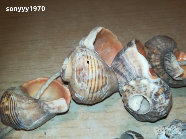 гердан от рапани 2811202032, снимка 13 - Колекции - 30944213