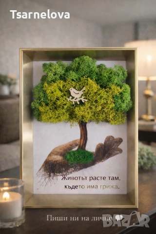 Ръчно изработени картини с естествен скандинавски мъх, снимка 3 - Картини - 53985438