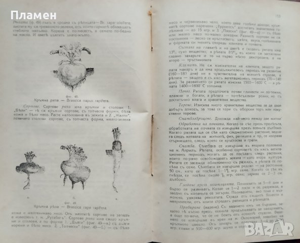 Полски култури (Частно земеделие) Ат. Халовъ, снимка 4 - Антикварни и старинни предмети - 38787044