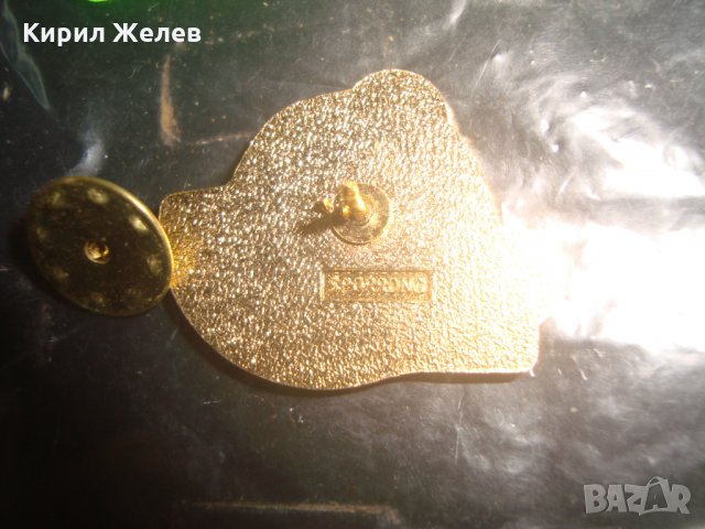 ЛАПЛАНДИЯ ФИНЛАНДИЯ РЯДКА СТАРА ПОЗЛАТЕНА ЗНАЧКА 18415, снимка 7 - Колекции - 30995634