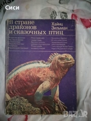 В стране драконов и сказочных птиц