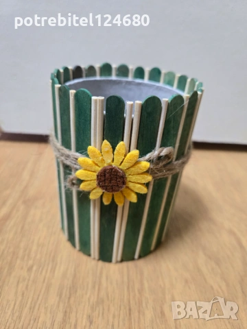 Сладурска кашпа , снимка 3 - Стайни растения - 53220432