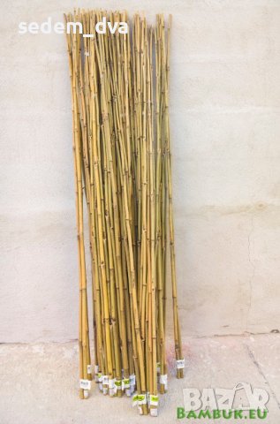 Колчета от бамбук за укрепване на домати, снимка 1 - Огради и мрежи - 36929165