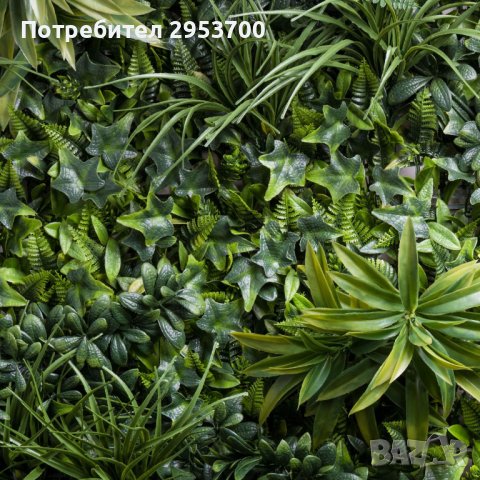 Декоративно зелено пано, снимка 1 - Изкуствени цветя - 42655676