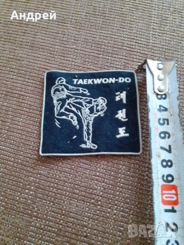 Стара емблема Таекуондо #2, снимка 2 - Други ценни предмети - 29666182