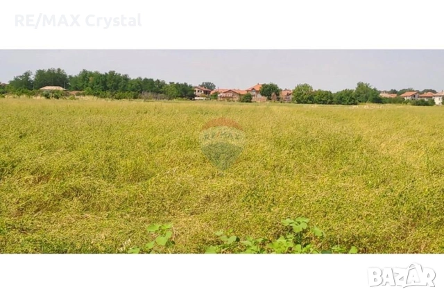 Инвестиционна Възможност: Огромен Парцел за Ниско Застрояване в с. Войводиново!