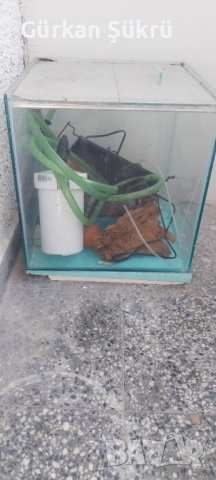 аквариум, снимка 2 - Аквариуми - 52249963