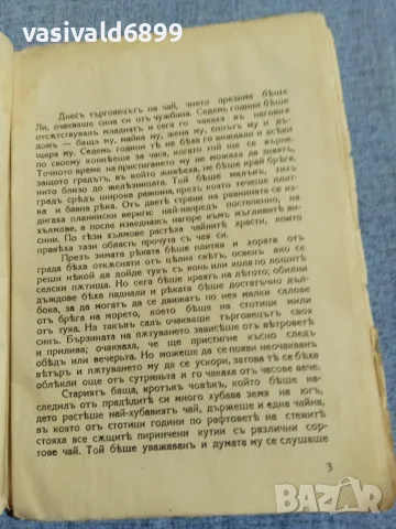 Пърл Бък - Първа жена , снимка 5 - Художествена литература - 55953765