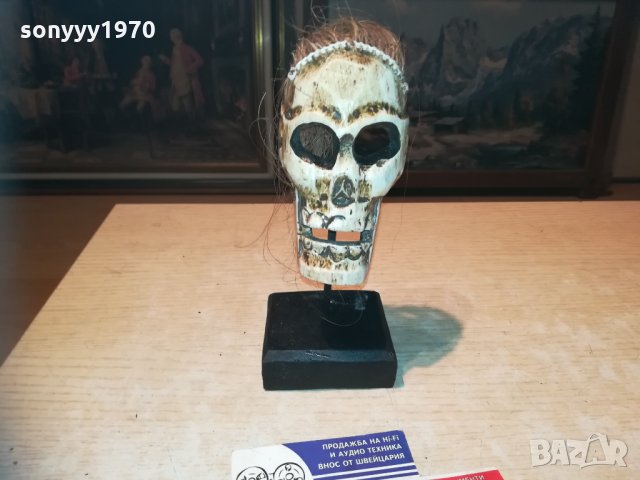 ЧЕРЕП НА СТОЙКА 20Х10Х10см 1311201933