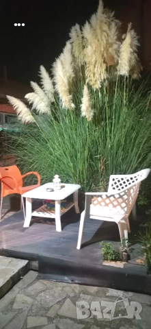 Продава къща с двор в с.Змейово, общ.Стара Загора., снимка 6 - Къщи - 52007345