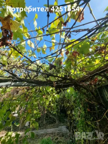 Продавам къща град Своге, снимка 15 - Къщи - 48644879